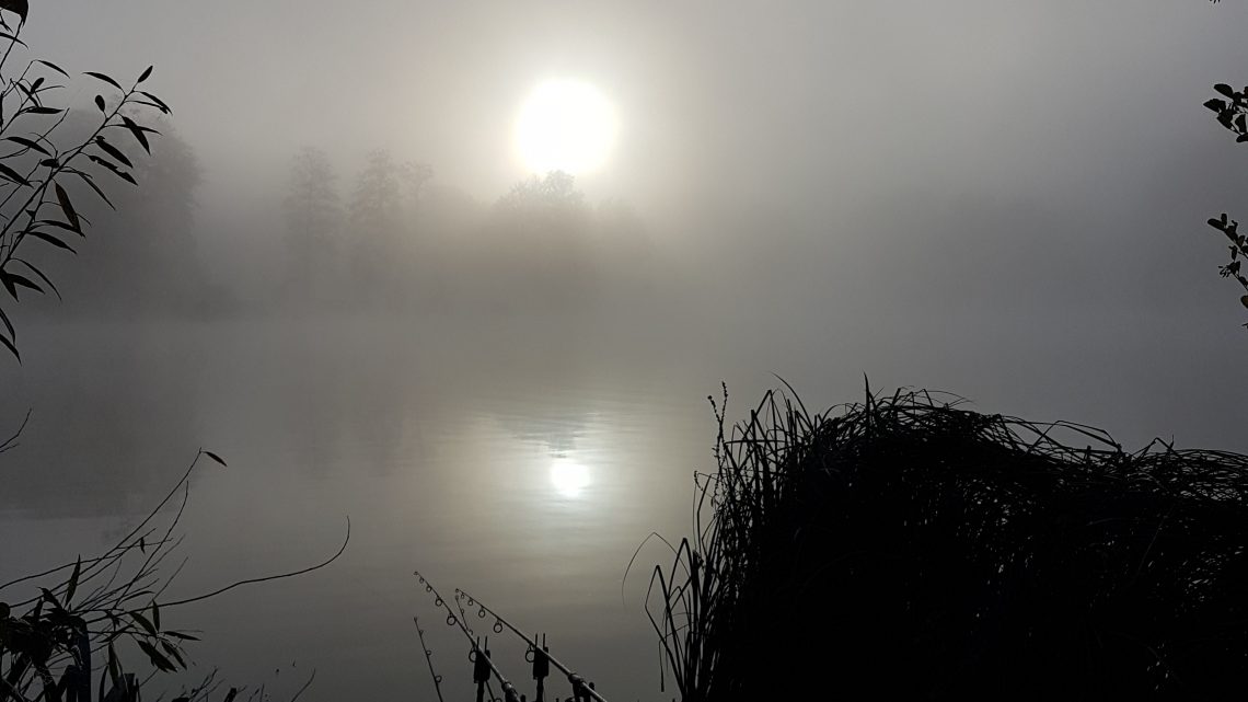 Blog #14 „Betriebsferien“