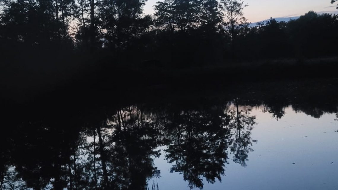 Blog #32 „Laue Sommernächte“