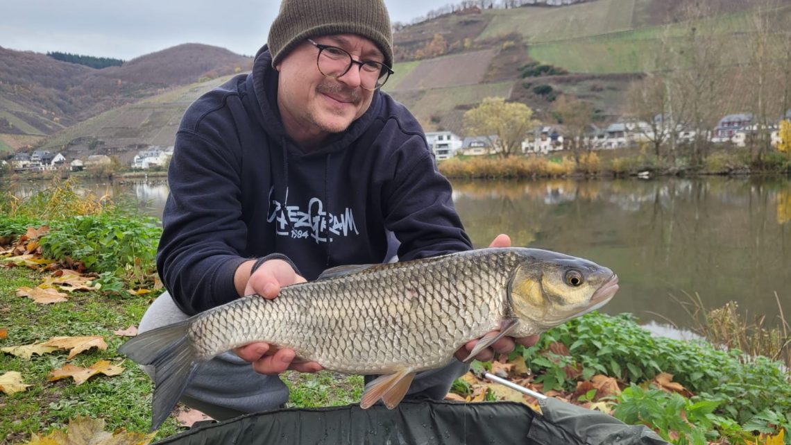 Blog #35 „Mosel“